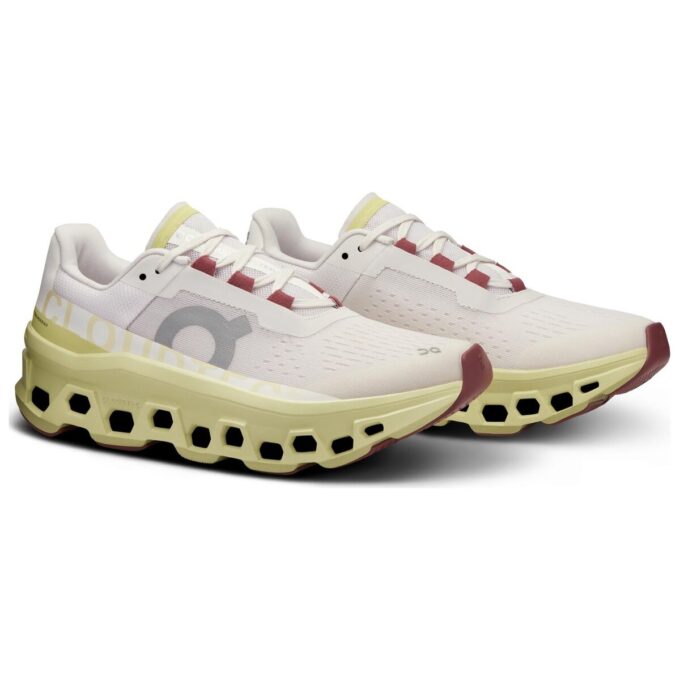Cloudmonster « Givre Acacia »